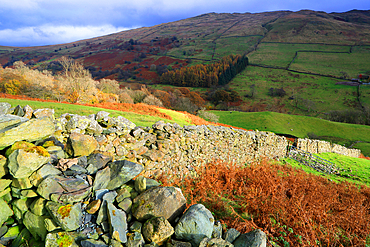 Drystone wall and moorland near Kirkstone Pass, Lake District, Cumbria, England