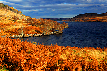 Loch Naver, Sutherland, Highland, Scotland, United Kingdom