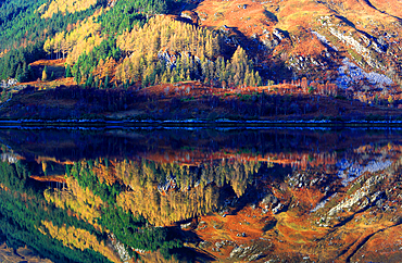 Reflection detail, Glenshiel, Highland, Scotland