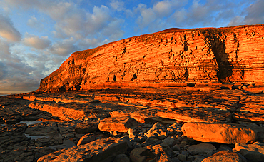 Golden evening light on the limestone cliffs, Dunraven Bay, Southerndown, Wales