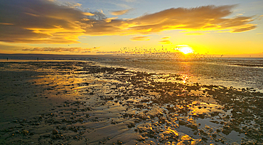 River Ogmore estuary, Ogmore-by-Sea, Bridgend, South Wales, United Kingdom