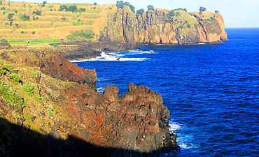 Cliffs near Capelas, north coast, Sao Miguel Island, Portugal