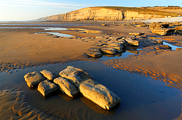 Dunraven Bay (Southerndown Beach), Glamorgan Heritage Coast, Wales, United Kingdom, Europe