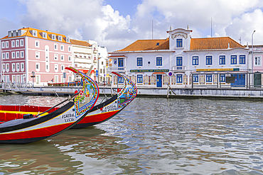 Europe, Portugal, Aveiro. April 12, 2022. Brightly painted moliceiros, traditional flat bottomed wooden boats, on the Central Canal in Aveiro.