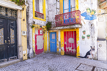 Europe, Portugal, Alcobaca. April 14, 2022. Colorful artwork on buildings in Alcobaca.