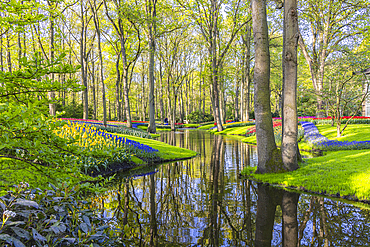 Europe, Netherlands, South Holland, Lisse. April 26, 2022. A pond in the forest at Keukenhof Gardens.