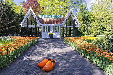 Europe, Netherlands, South Holland, Lisse. April 26, 2022. Orange wooden shoes in front of the entrance to Keukenhof Garden.