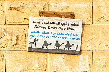 Giza, Cairo, Egypt. February 18, 2022. Sign for camel rides in Giza, Egypt.