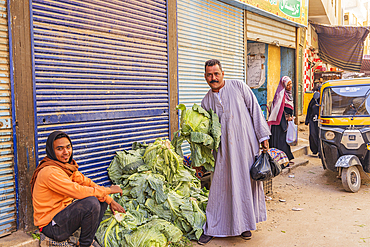 Thebes, Luxor, Egypt. February 24, 2022. Men with large cabbages in Luxor.