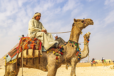 Giza, Cairo, Egypt. February 18, 2022. Men on camels at the Great Pyramid complex in Giza.