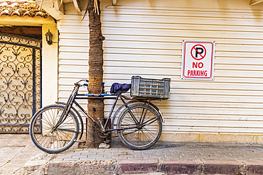 Cairo, Egypt. February 11, 2022. Bicycle locked to a tree in Cairo.