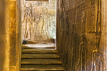 Edfu, Aswan, Egypt. February 25, 2022. Carving of gods in the Temple of Horus at Edfu.