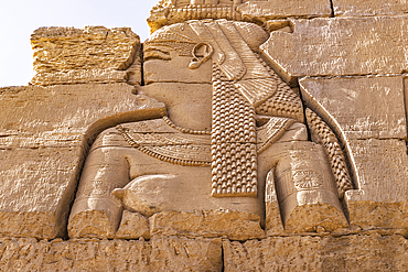 Kom Ombo, Aswan, Egypt. Carving of the vulture goddess Mut at Kom Ombo temple.