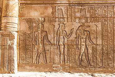 Kom Ombo, Aswan, Egypt. Carved mural featuring the crocodile god Sobek at the Kom Ombo temple.