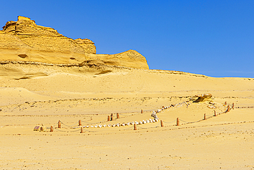 Wadi al Hitan, Faiyum, Egypt. Whale fossil on the interpretive trail at Wadi el-Hitan paleontological site.