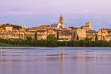 Avignon, Vaucluse, Provence-Alpes-Cote d'Azur, France. The Palais des Papes, Palace of the Popes, in Avignon.