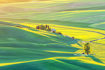 Steptoe Butte State Park, Washington, USA. May 21, 2021. Sunset view of wheat fields in the rolling Palouse hills. Editorial Use Only