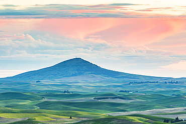 Farmington, Washington, USA. Pink clouds at sunset over Steptoe Butte.