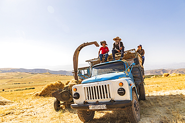 Shagmon, Khatlon Province, Tajikistan. August 12, 2021. Farm workers loading a truck during harvest. Editorial Use Only