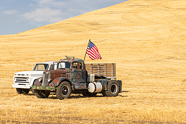 USA, Washington State, Whitman County. Palouse. September 6, 2021. White Super Power Truck, c. 1946 sits next to a c. 1965 Chevrolet C50.