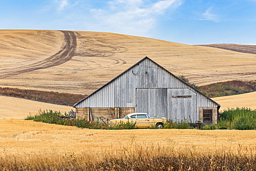 USA, Washington State, Whitman County. Palouse. September 6, 2021. 1954 Pontiac Star Chief by an old barn.