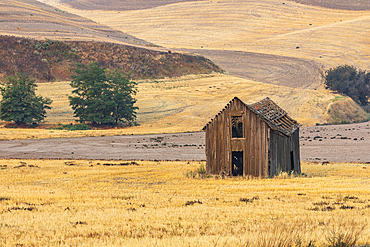 USA, Washington State, Whitman County. Palouse. Old Barn  in the Palouse hills.