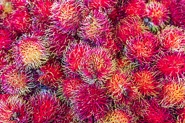 Chinatown, Manhattan, New York City, New York, USA. Rambutan fruit for sale in Chinatown.