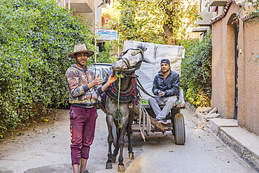 Old Cairo, Cairo, Egypt. February 11, 2022. Two young men delivering vegetables with their mule and cart in Old Cairo.