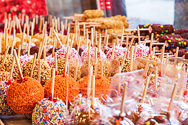 Coney Island, Brooklyn, New York City, New York, USA. Multi-colored candied apples for sale.