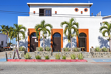 Todos Santos, Baja California Sur, Mexico. November 11, 2021. Palm trees outside a restaurant in Todos Santos.