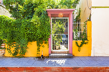 Todos Santos, Baja California Sur, Mexico. November 11, 2021. White iron gate on a yellow and pink courtyard wall.