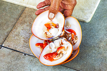 Playa El Tecolote, La Paz, Baja California Sur, Mexico. Clam ceviche served on the shell.