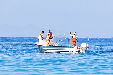 Playa El Tecolote, La Paz, Baja California Sur, Mexico. November 12, 2021. Fisherman pulling in a net on the Sea of Cortez.