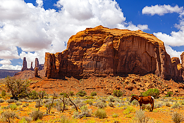 A horse rests in the beautiful Monument Valley on a summer day, Arizona, United States of America, North America