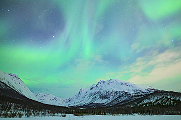 The Northern Lights (Aurora Borealis) light up the sky in the winter night, Tromso, Norway,Scandinavia, Europe