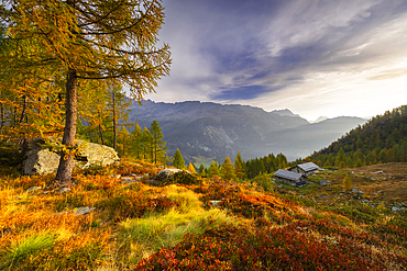 Alpine bivouac at Lagazzuolo lake at sunrise during autumn, Chiesa di Valmalenco, Sondrio, Lombardy, Italy, Europe