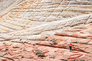 A girl admiring the beautiful rock formations in Zion National Park during a summer day, Utah, United States of America, North America