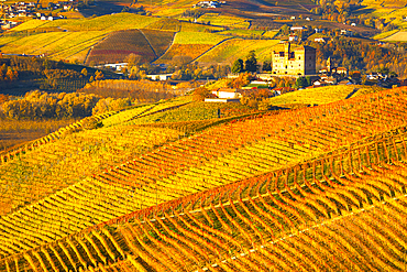 Beautiful view of the Grinzane Cavour Castle and vineyards, on an autumn day, UNESCO World Heritage Site, Cuneo province, Piedmont, Italy, Europe