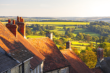 Gold Hill during sunset in late summer, Shaftesbury, Dorset, England, United Kingdom, Europe