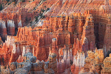 Warm light envelops the majestic rock formation in Bryce Canyon National Park on a summer day, Utah, United States of America