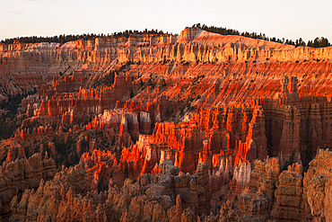 Warm light envelops majestic rock formation in Bryce Canyon National Park during a summer day, Utah, United States of America