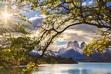 Cuernos del Paine framed in trees and Lake Pehoe during sunset, Torres del Paine NP, Ultima Esperanza, Region de Magallanes y de la Antartica Chilena, Patagonia, Chile, South America