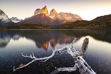 Cuernos del Paine reflected in Lake Nordenskjold during sunrise, Torres del Paine NP, Ultima Esperanza, Region de Magallanes y de la Antartica Chilena, Patagonia, Chile, South America