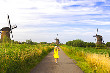 A tourist walks in the midst of Unesco Windmills of Kinderdijk during sunset, Molenlanden, Alblasserdam, South Holland, Netherlands, Northern Europe