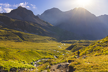 A trekker walks in the middle of Vallee Etroite in front of Roche Bernaude and Roche Pompée during summer, Provence Alps Cote d’Azur, Haute Alps, Vallee Etroite, France, Europe