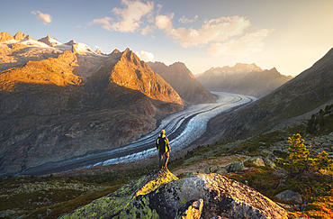 A trekker observes Aletsch Glacier during sunrise in summer, Riederalp, Oriental Raron, Valais, Switzerland, Europe