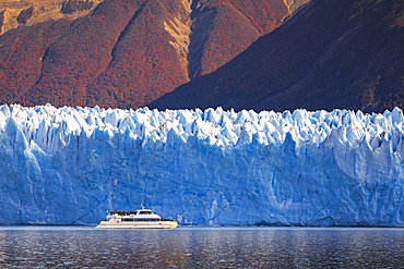 A boat in front of the massive Glacier front of Perito Moreno, El Calafate, Parque Nacional Los Glaciares, Santa Cruz, Patagonia Argentina, Argentina, South America