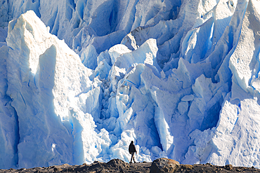 A tourist observes the massive Glacier front of Perito Moreno, El Calafate, Parque Nacional Los Glaciares, Santa Cruz, Patagonia Argentina, Argentina, South America