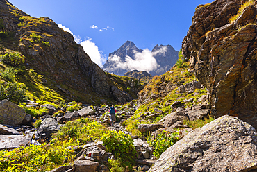 A trekker walks towards Fiorenza Lake in front of Monviso during summer, Pian del Re, Cuneo, Piedmont, Italy, Europe