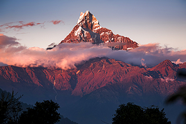 Anapurna peak over the clouds deep in the Himalayas at sunrise, Australian Camp, Nepal, Asia